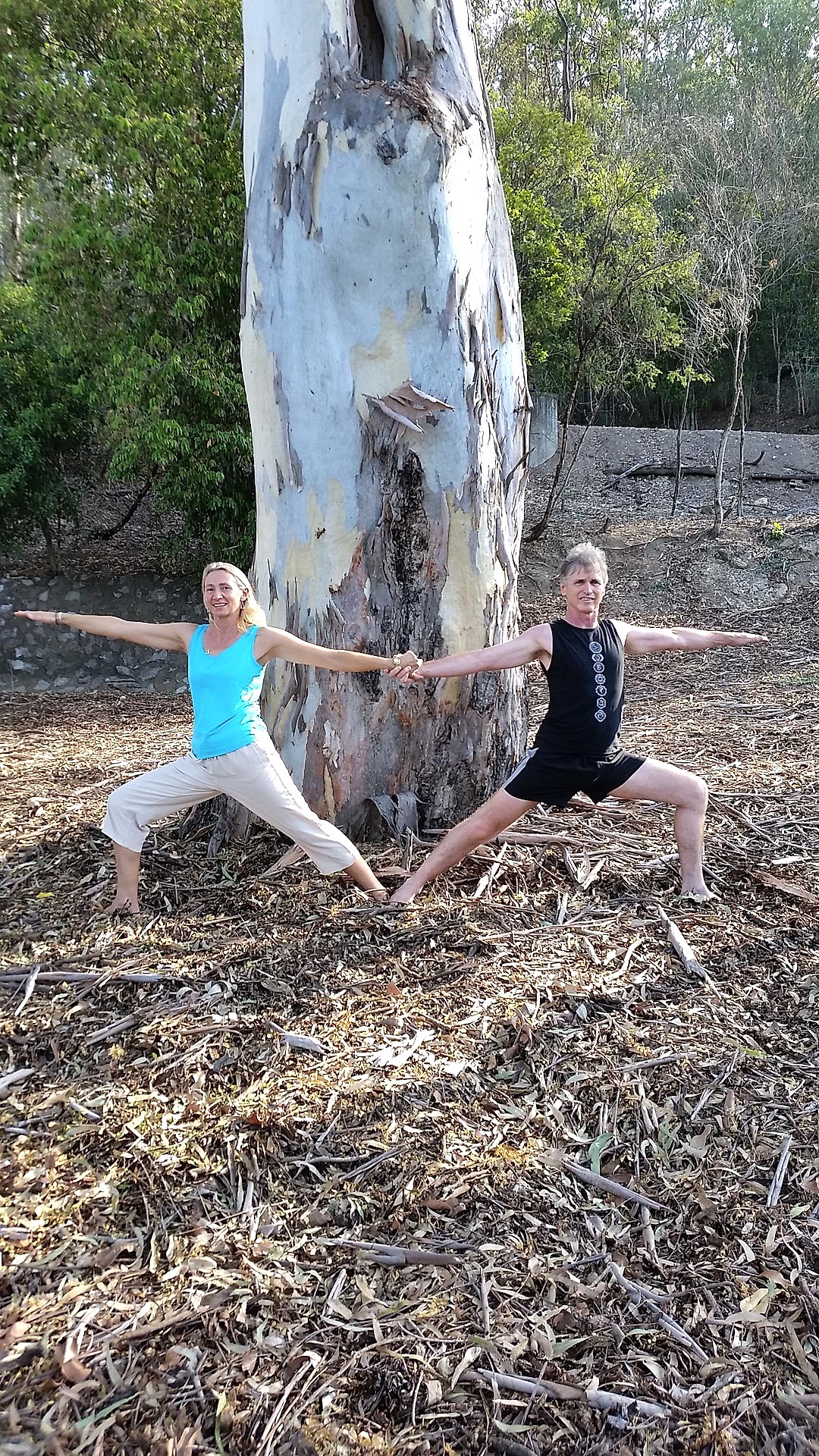 Patanjali’s Asana: practice of physical postures.